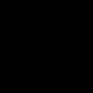 Meet your Posher, Baylie